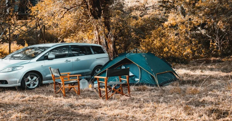 car camping essentials, window shades and tent